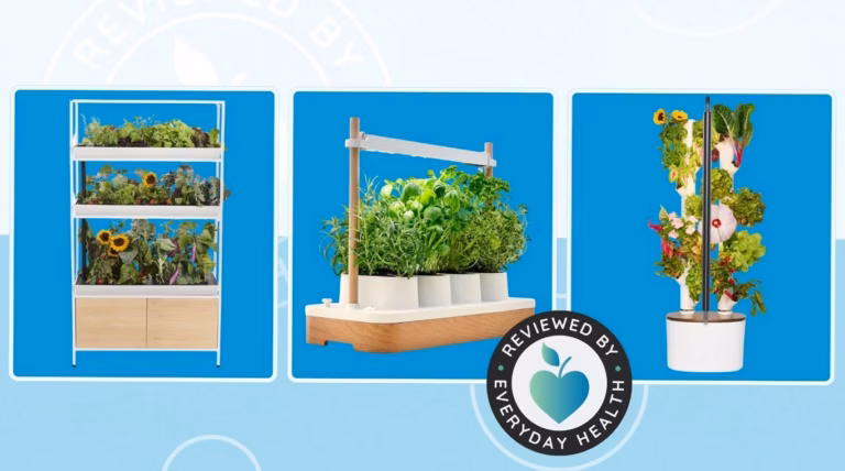 Serre de jardin en polycarbonate : top 4 des modèles à monter
